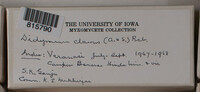 Image Associated With the Occurence
